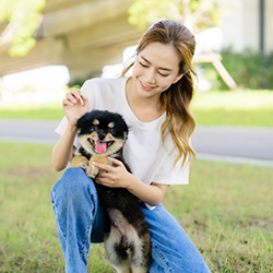 愛犬と遊ぼう
