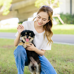 愛犬と遊ぼう