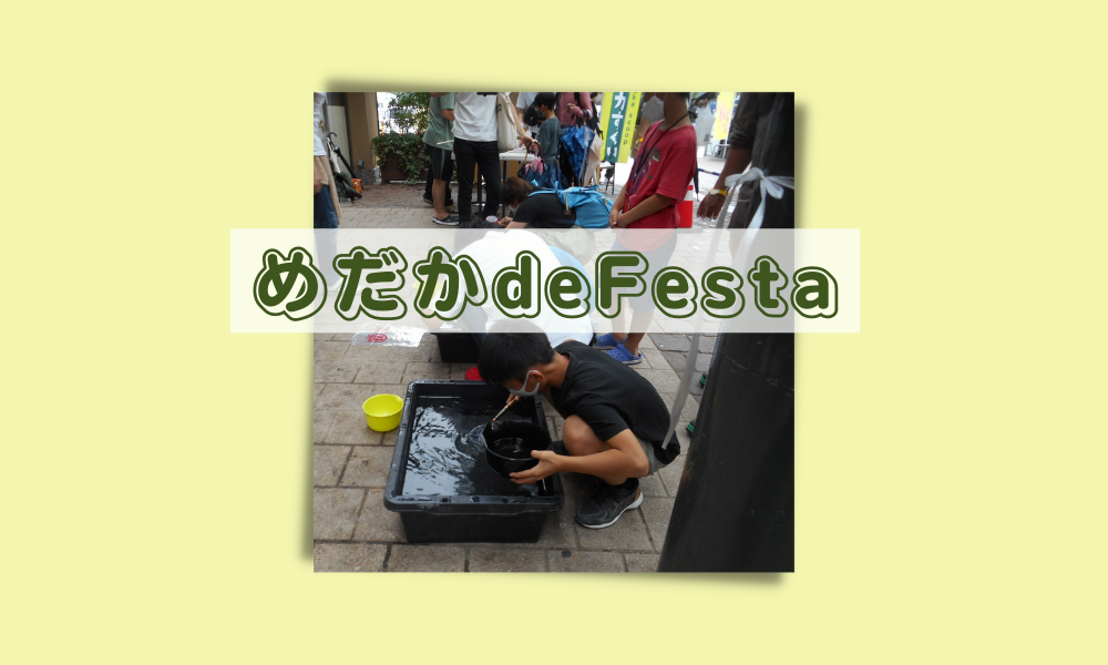 めだか de Festa