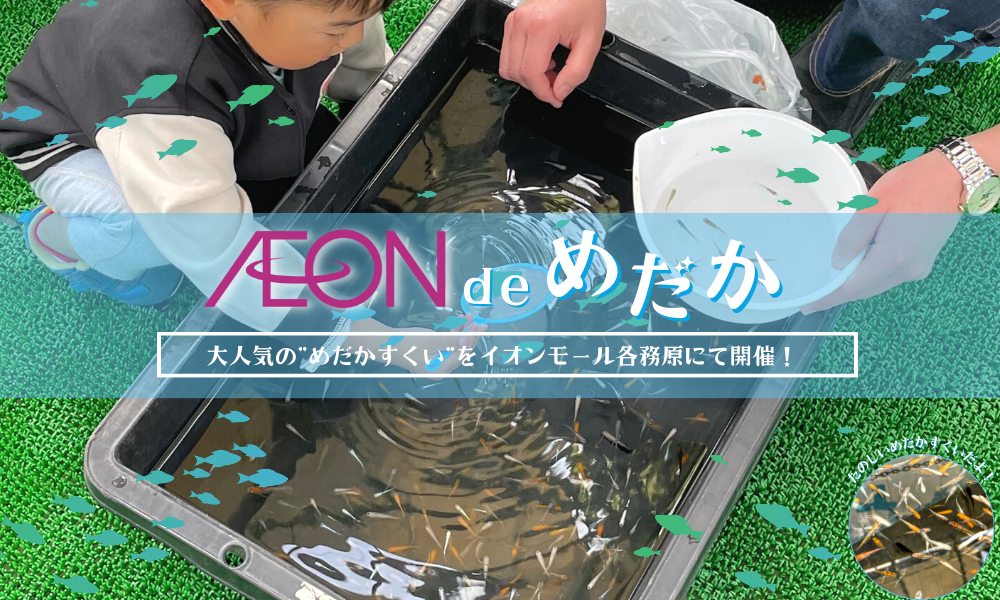 めだかすくいイオンモール各務原