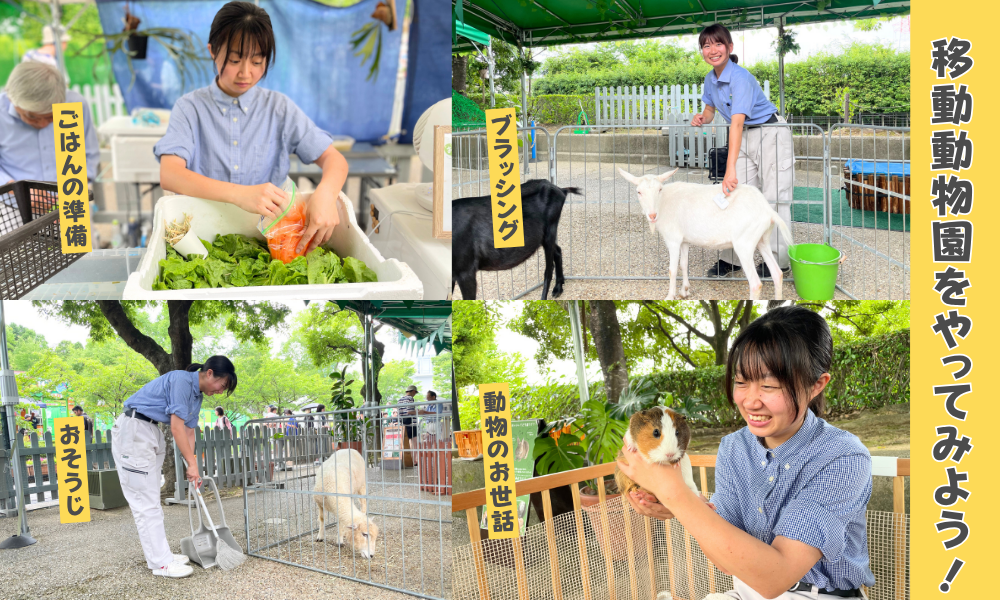 移動動物園をやってみよう！