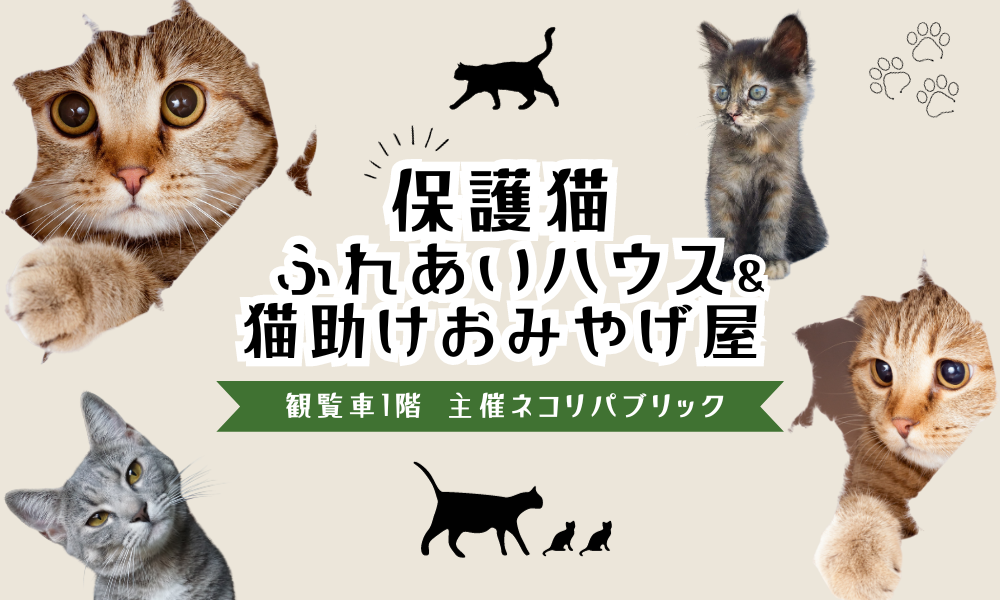 保護猫ふれあいハウス&猫助けおみやげ屋
