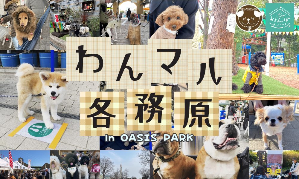わんマル各務原 in OasisPark