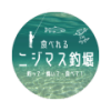 バナー