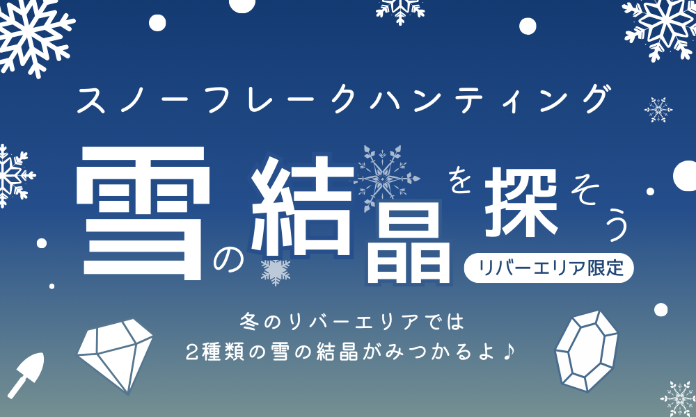 スノーフレークハンティング雪の結晶を探そうトレジャーストーン