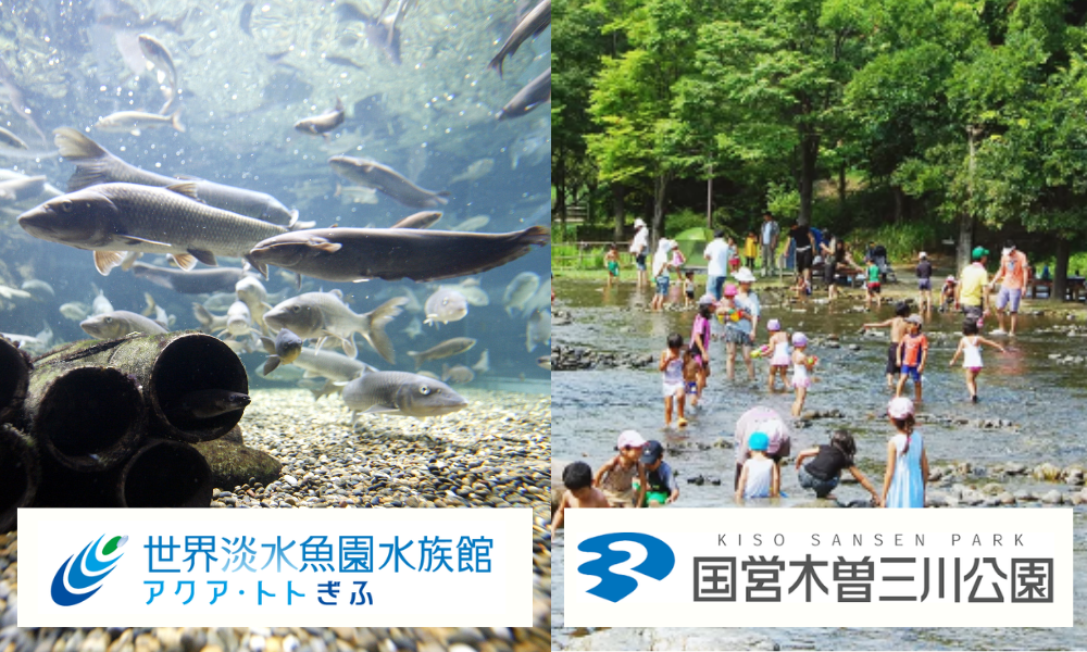 水族館・発見館 (2)